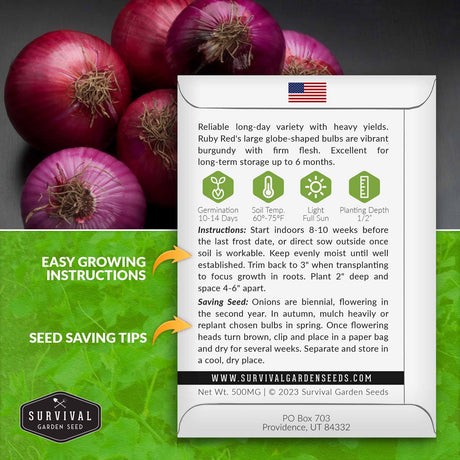 Ruby Red onion seed growing instructions