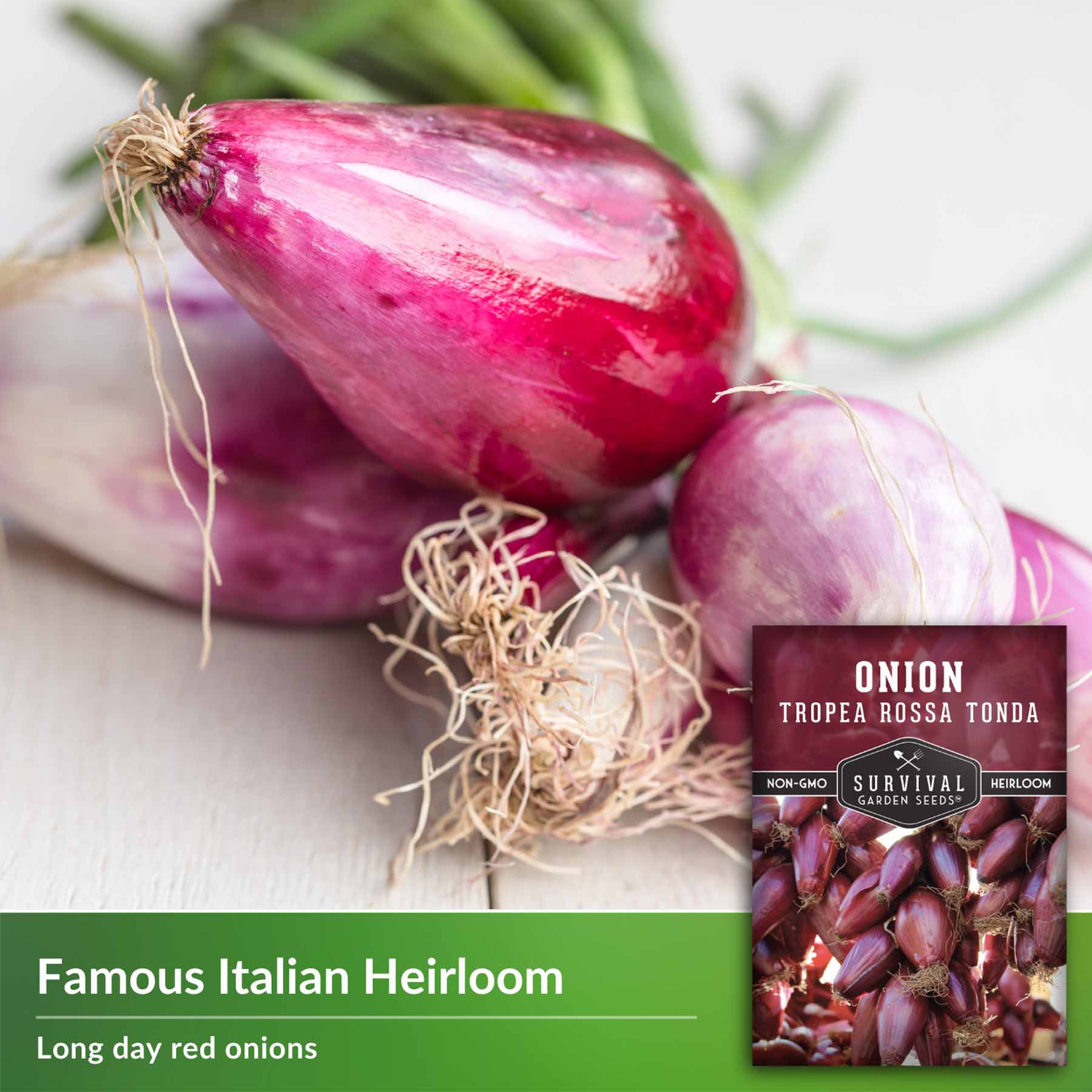 Tropea Rossa Tonda Onion Seeds - Italian Long Day Onion