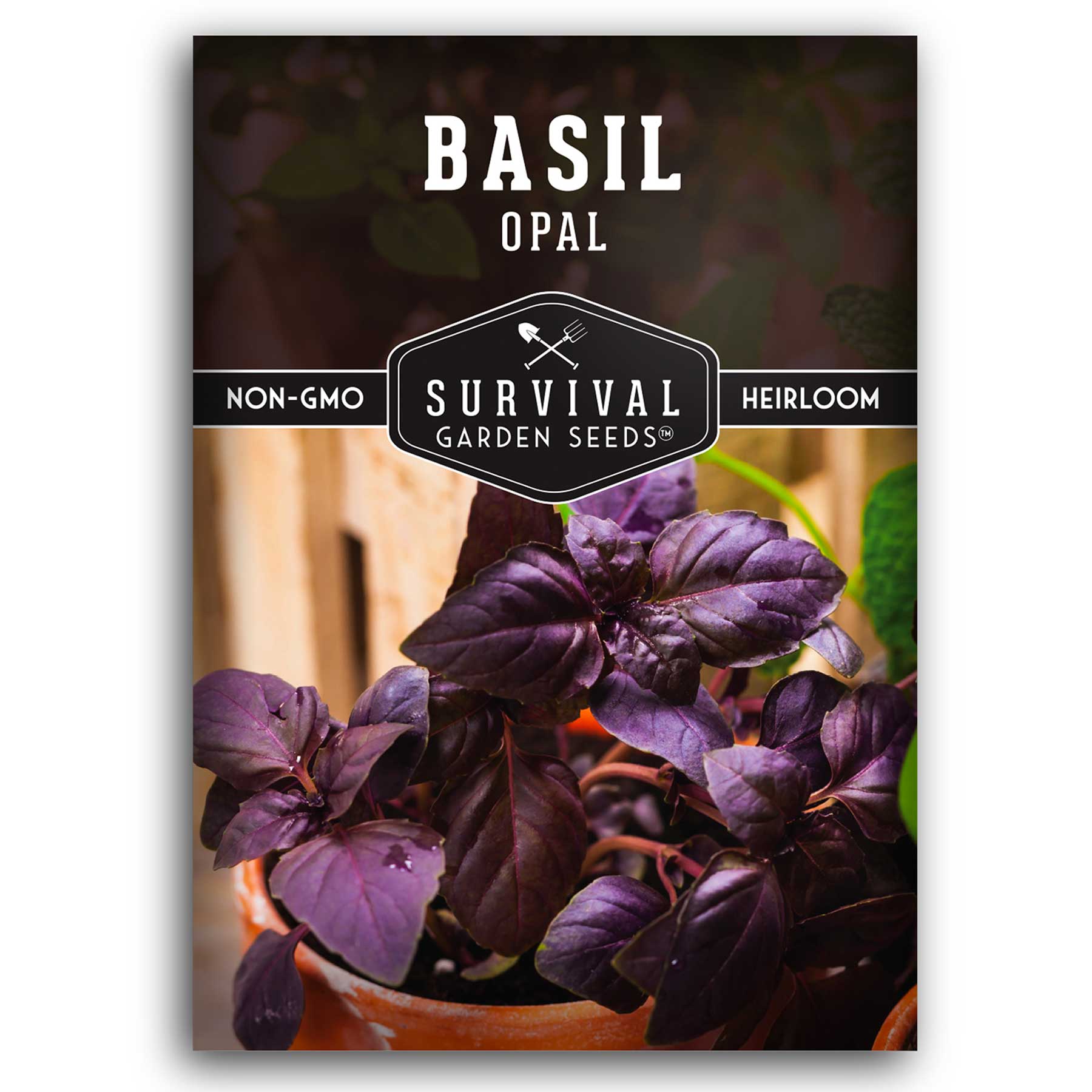 Survival Garden Seeds Basil Seeds - Thumbnail 3