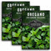 3 packets of Oregano seeds