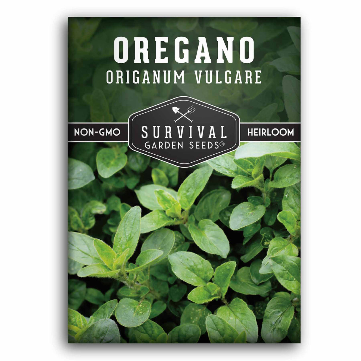 Oregano seeds for planting