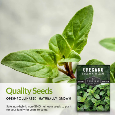 Quality seeds