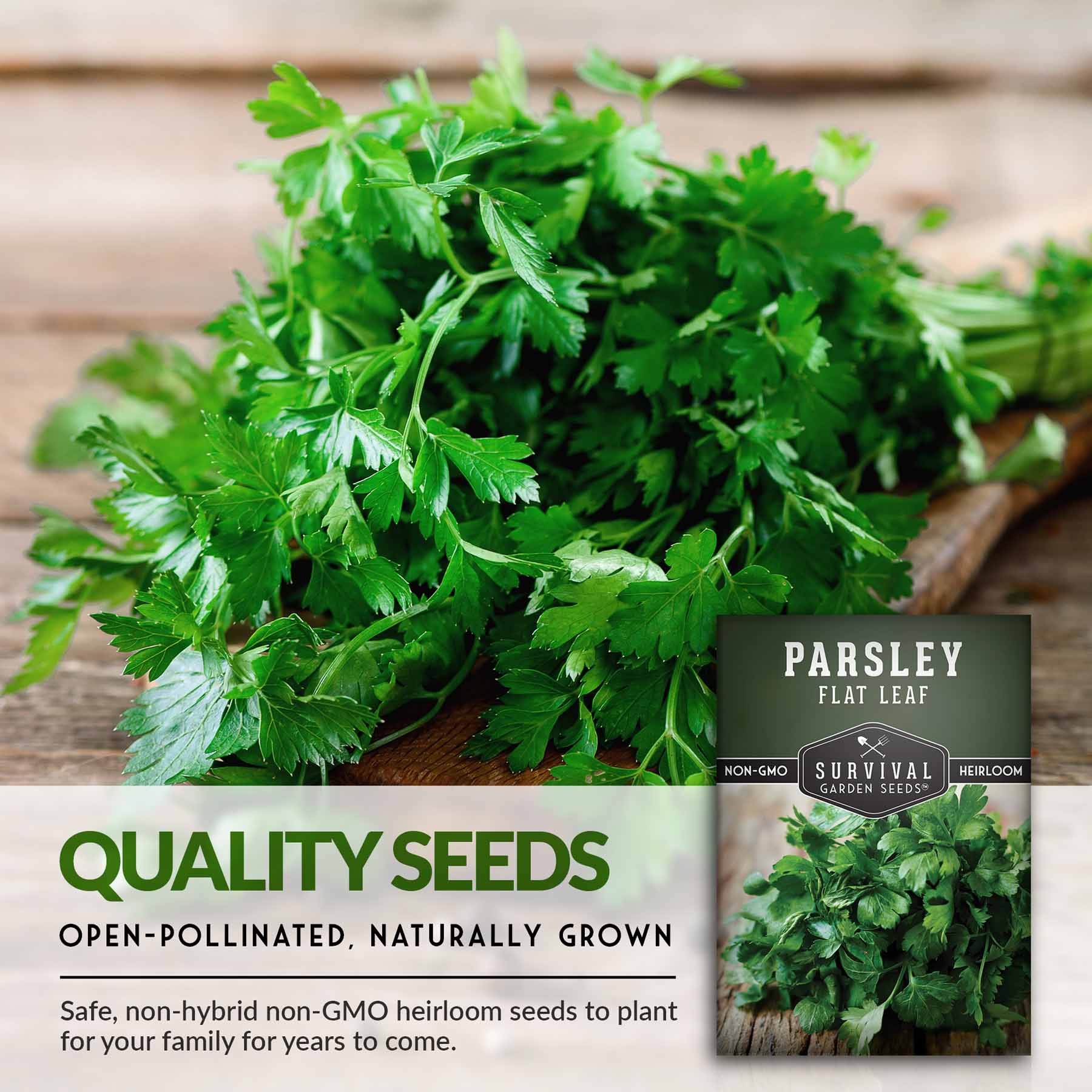 Survival Garden Seeds Italian Flat Leaf Parsley Seeds - Thumbnail 4
