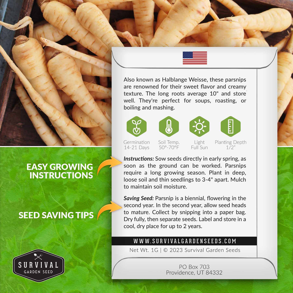 Parsnip seed growing instructions
