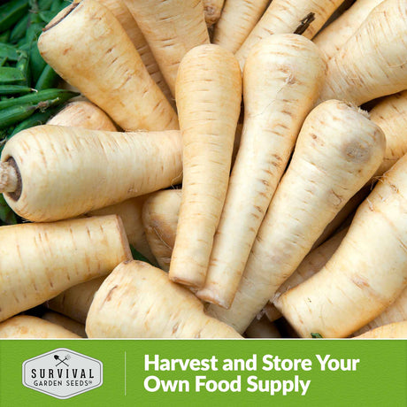 Harvest and store your own food supply