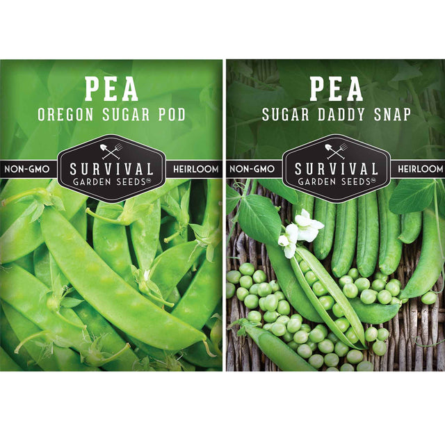 Sugar Pea seed collection