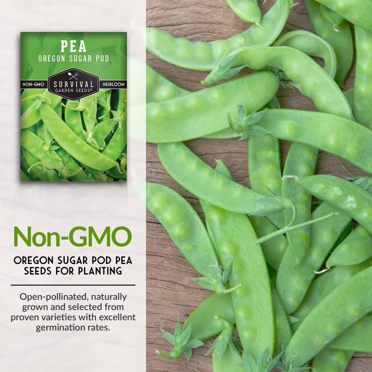 Non-GMO pea seeds