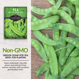 Non-GMO pea seeds