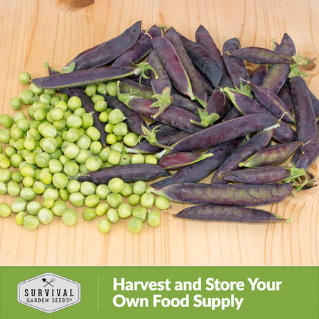 Harvest and store your own food supply