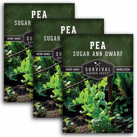 3 packet of Sugar Ann Dwarf Pea seeds