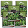 5 packets of Patio Pride Pea seeds