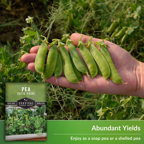 Abundant Yields