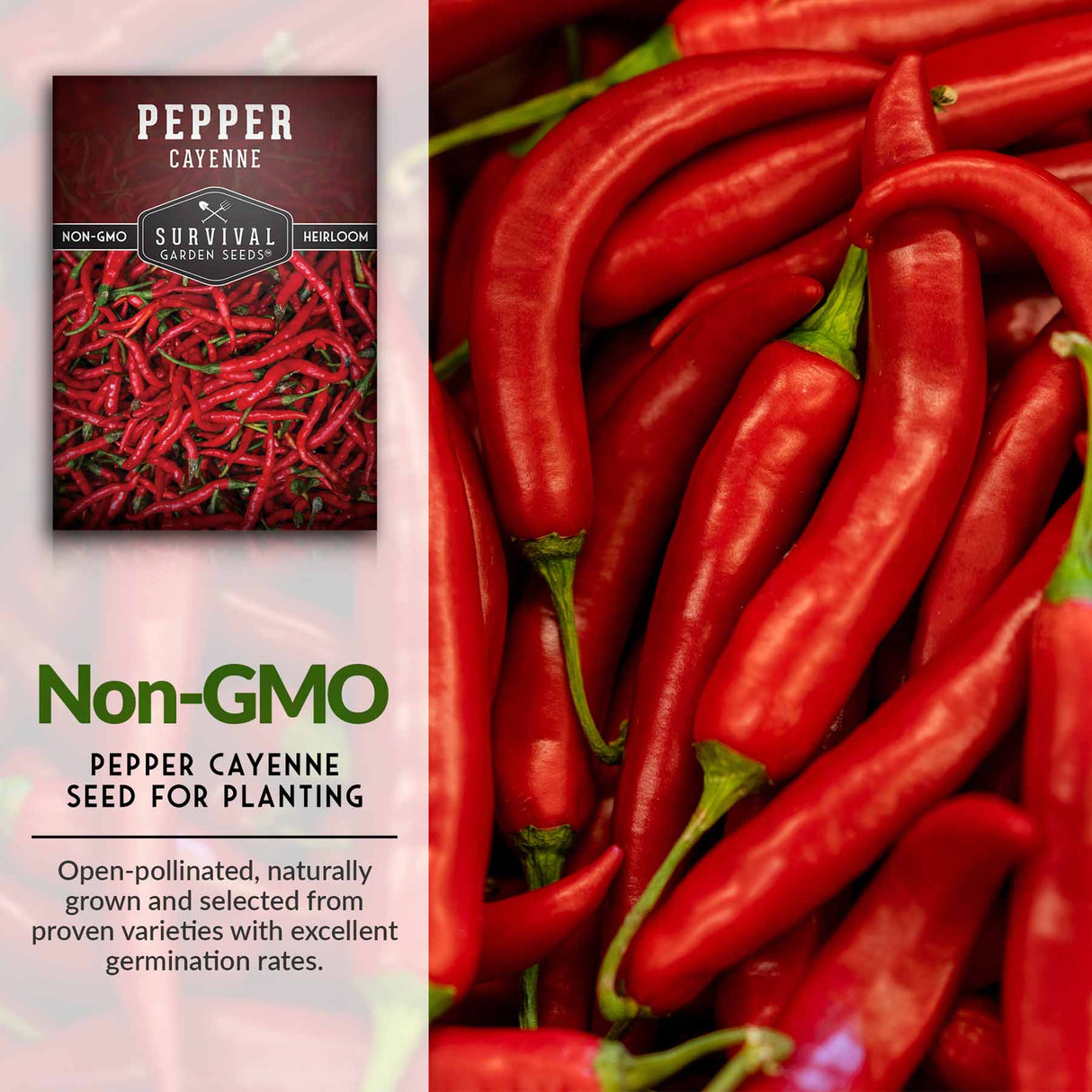 Non-GMO pepper seeds