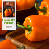 Orange Bell Peppers