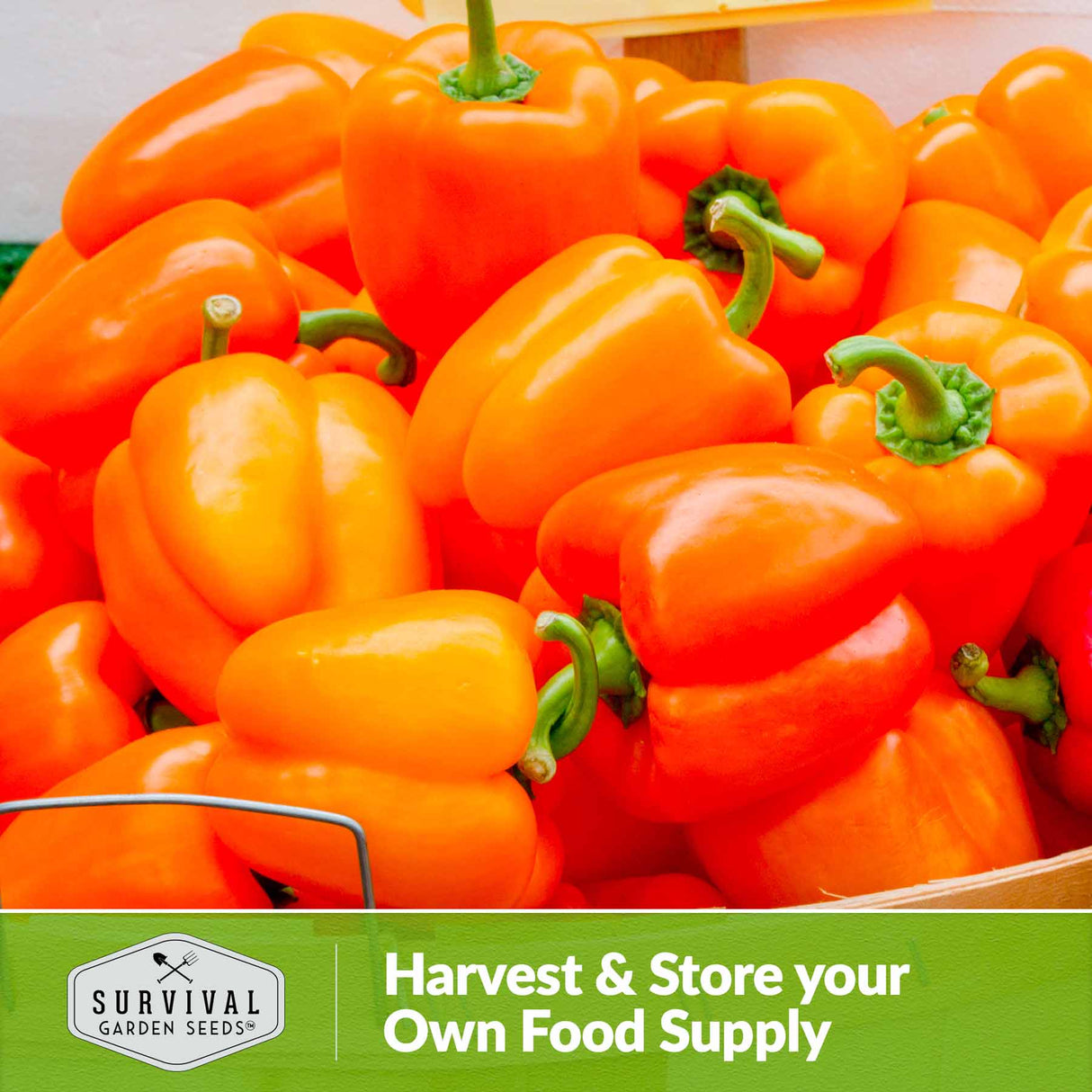 Harvest and store your own food supply