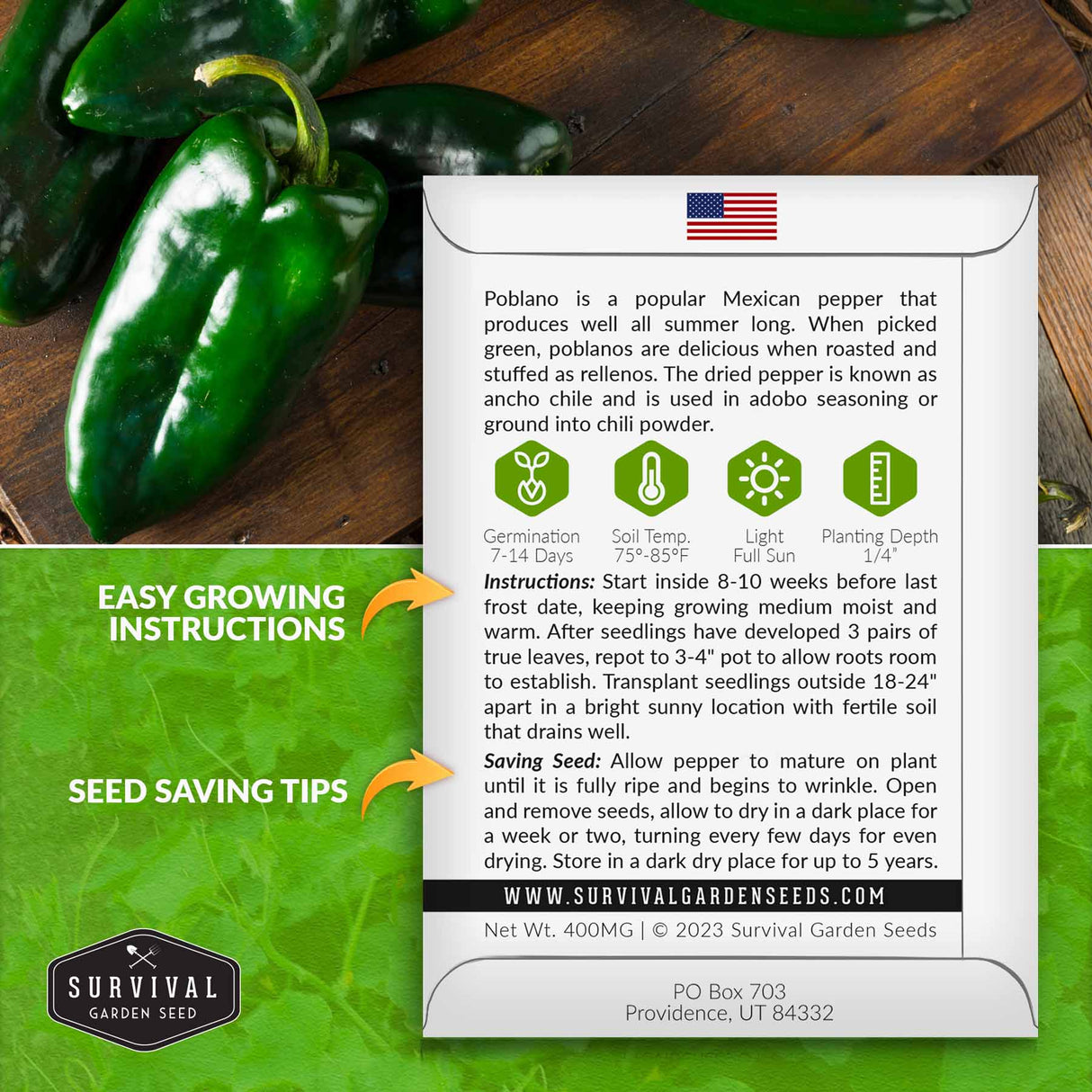 Poblano pepper growing instructions