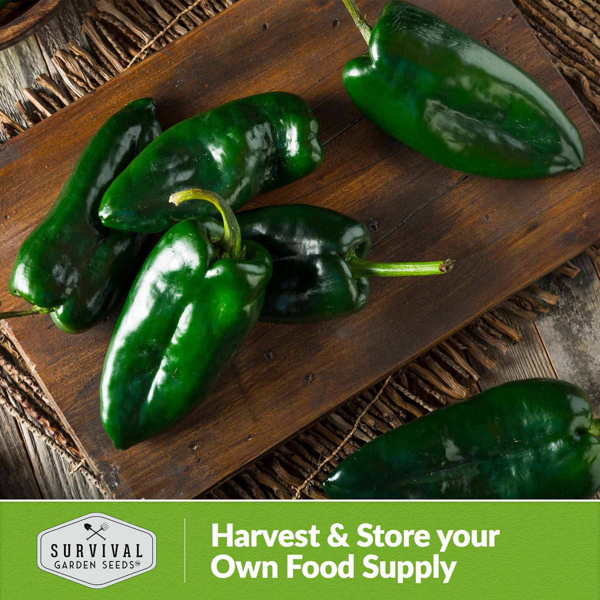 Harvest and store your own food supply