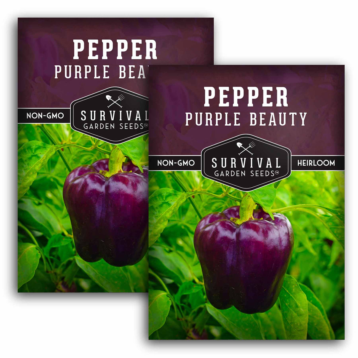 2 packets of Purple Beauty Pepper seeds