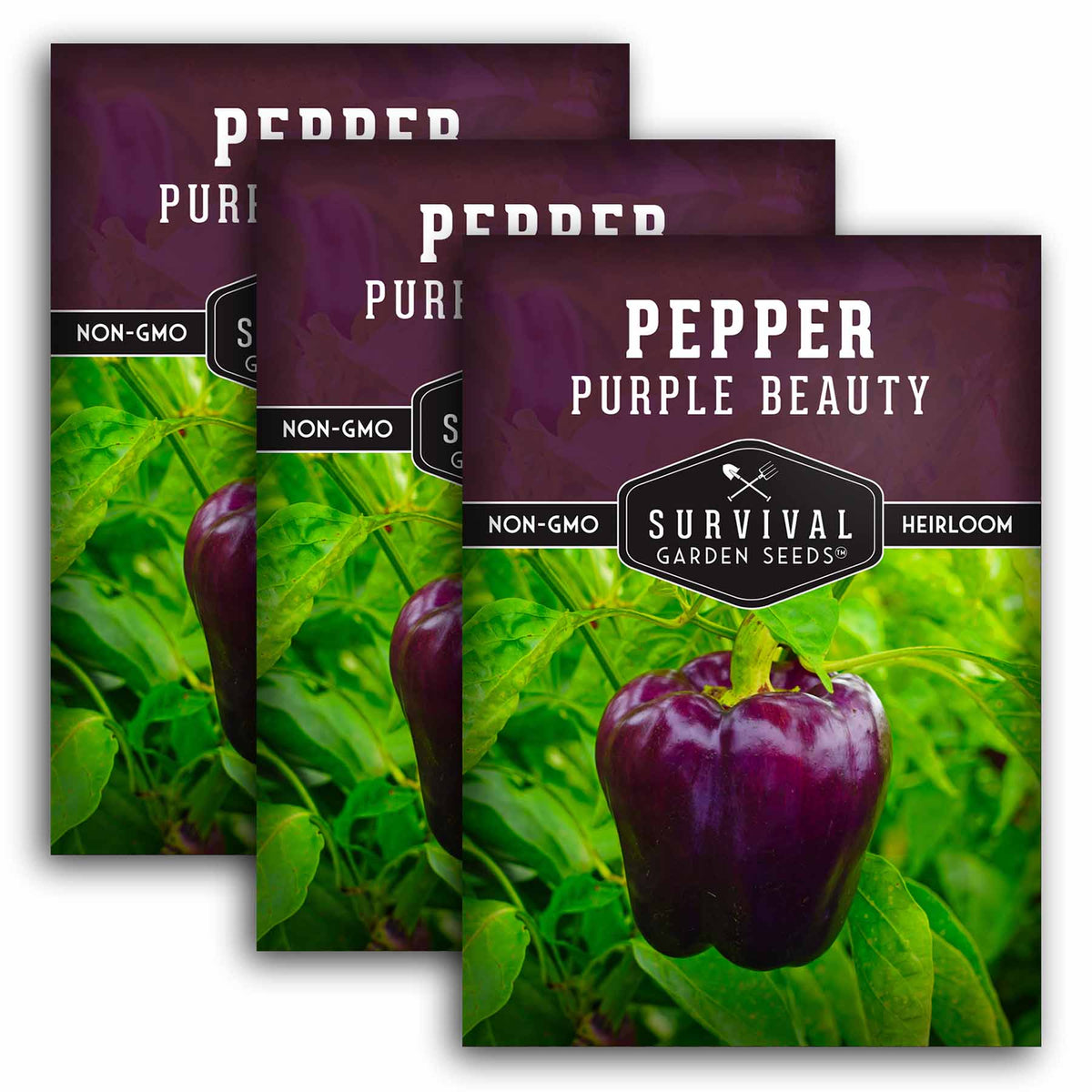 3 packets of Purple Beauty Pepper seeds