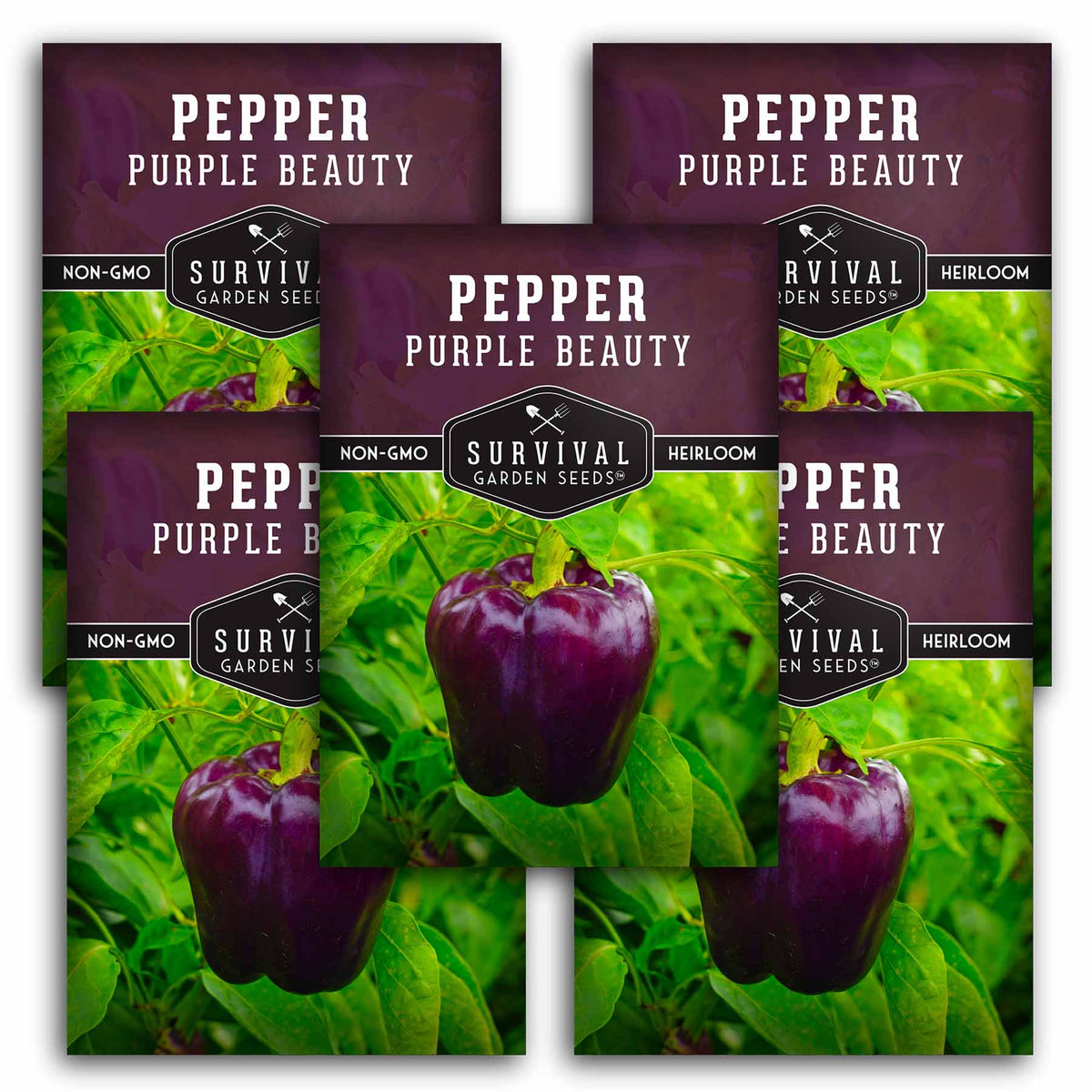 5 packets of Purple Beauty Pepper seeds