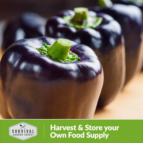 Harvest and store your own food supply