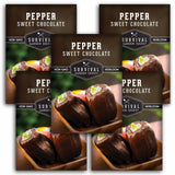 5 packets of Sweet Chocolate Pepper seeds