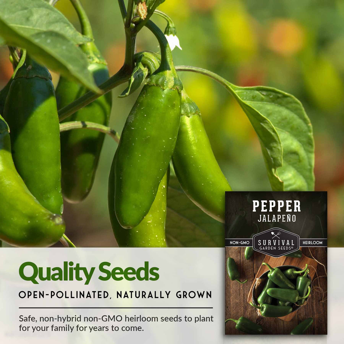 Quality seeds open-pollinated, naturally grown