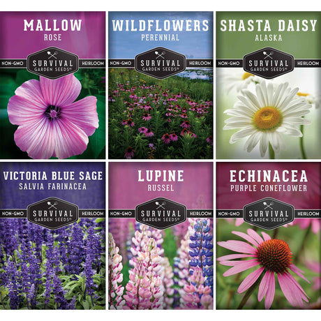 Perennial Flower Collection