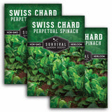 3 Packets of Perpetual Spinach Swiss Chard Seeds