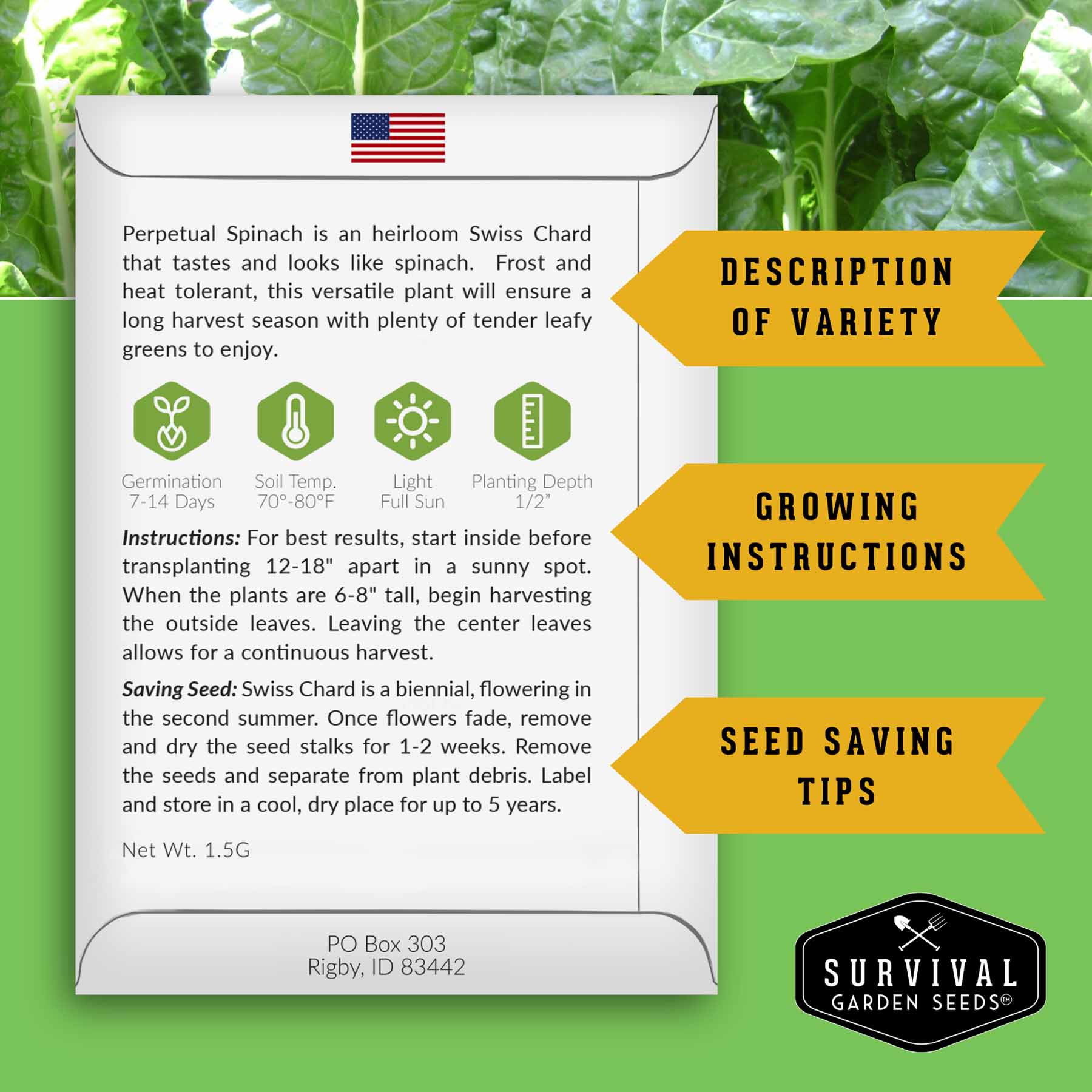 50+ Perpetual Spinach Swiss Chard Seeds – Non-GMO – Easy Grow Vegetable Garden