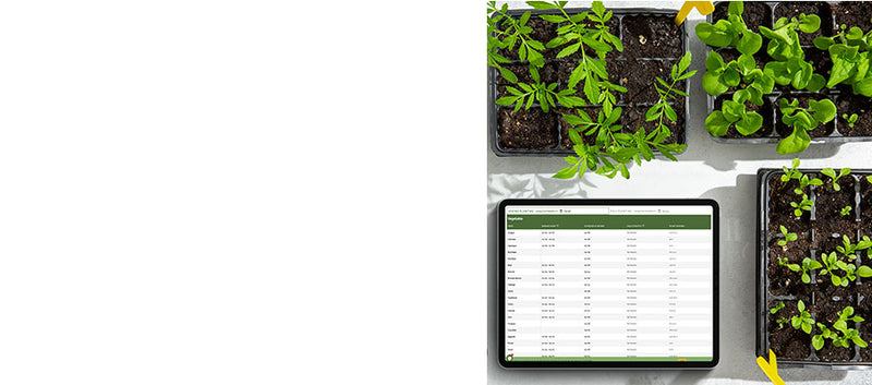 Seed Planting Calendar Tool
