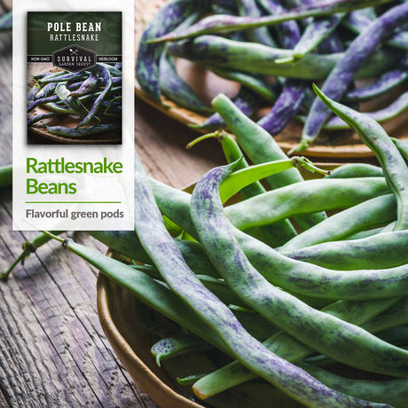 Rattlesnake Beans