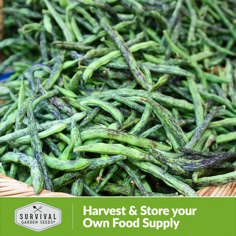 harvest and store your own food supply