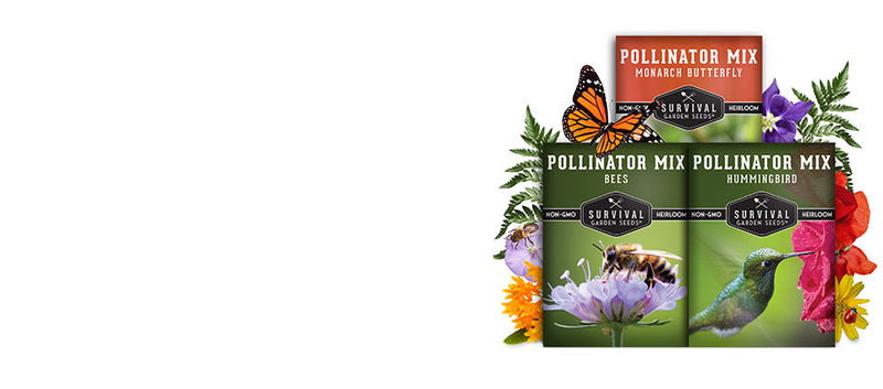 Pollinator Seed Kit - 3 packets of heirloom flower seeds to create a pollinator garden
