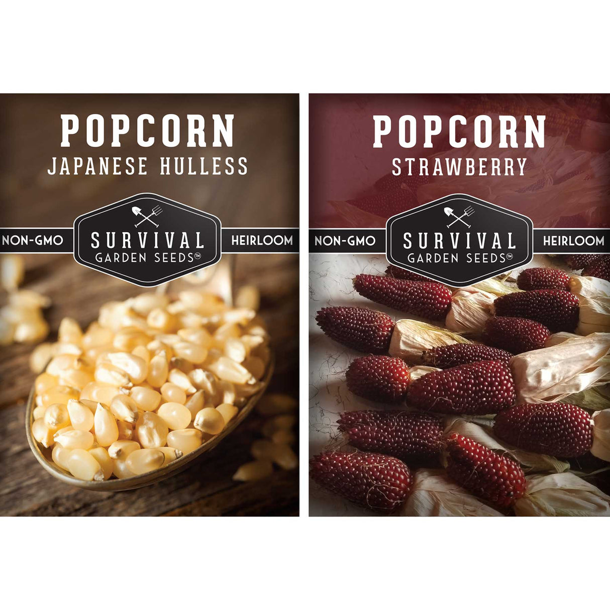 Popcorn seed collection - grow your own popcorn