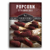 1 packet of Strawberry Popcorn seeds