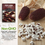 Non-GMO popcorn seed