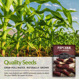 Quality seeds