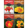 Poppy flower seed collection