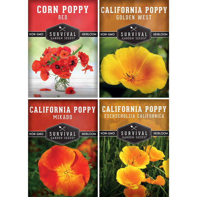 Poppy flower seed collection