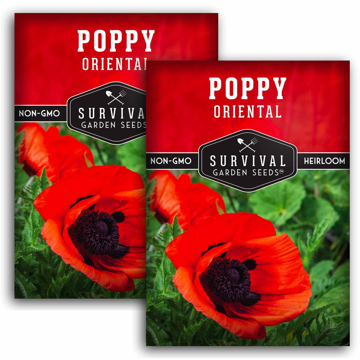 2 packets of Orient Poppy seeds