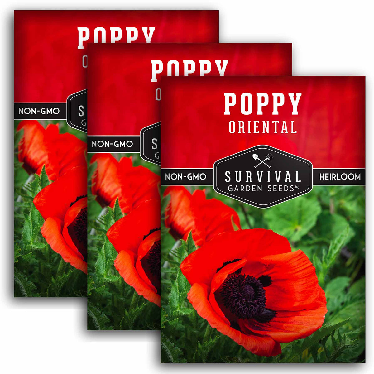 3 packets of Orient Poppy seeds