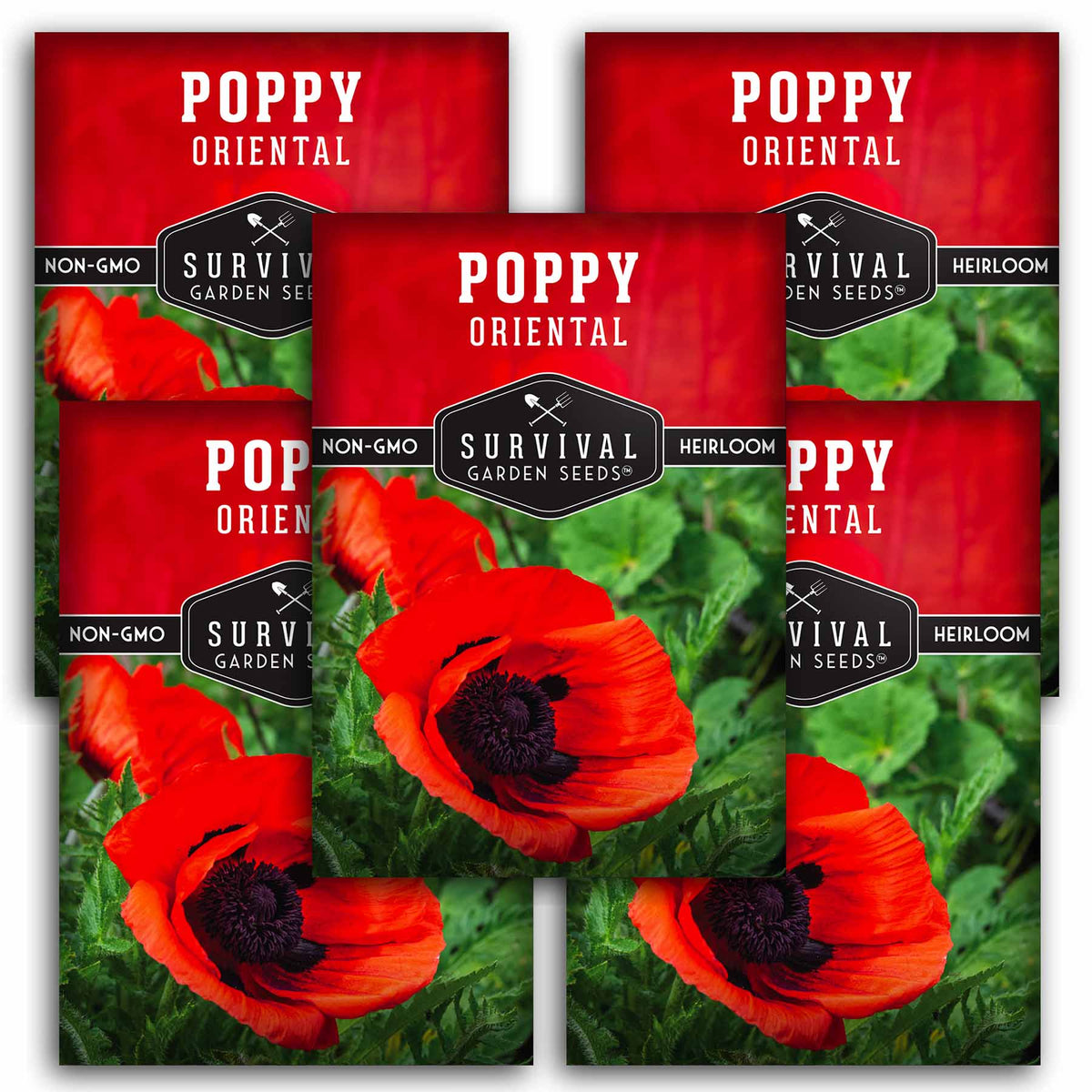 5 packets of Orient Poppy seeds
