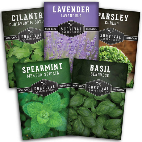 Popular Herb Seed Collection - 5 packets of favorite herbs
