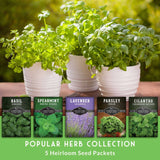 Popular Herb Collection - 5 Heirloom Seed Packets
