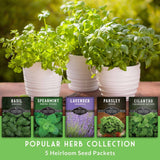 Herb plants in pots with seed packets labeled Basil, Spearmint, Lavender, Parsley, and Cilantro on a green background.