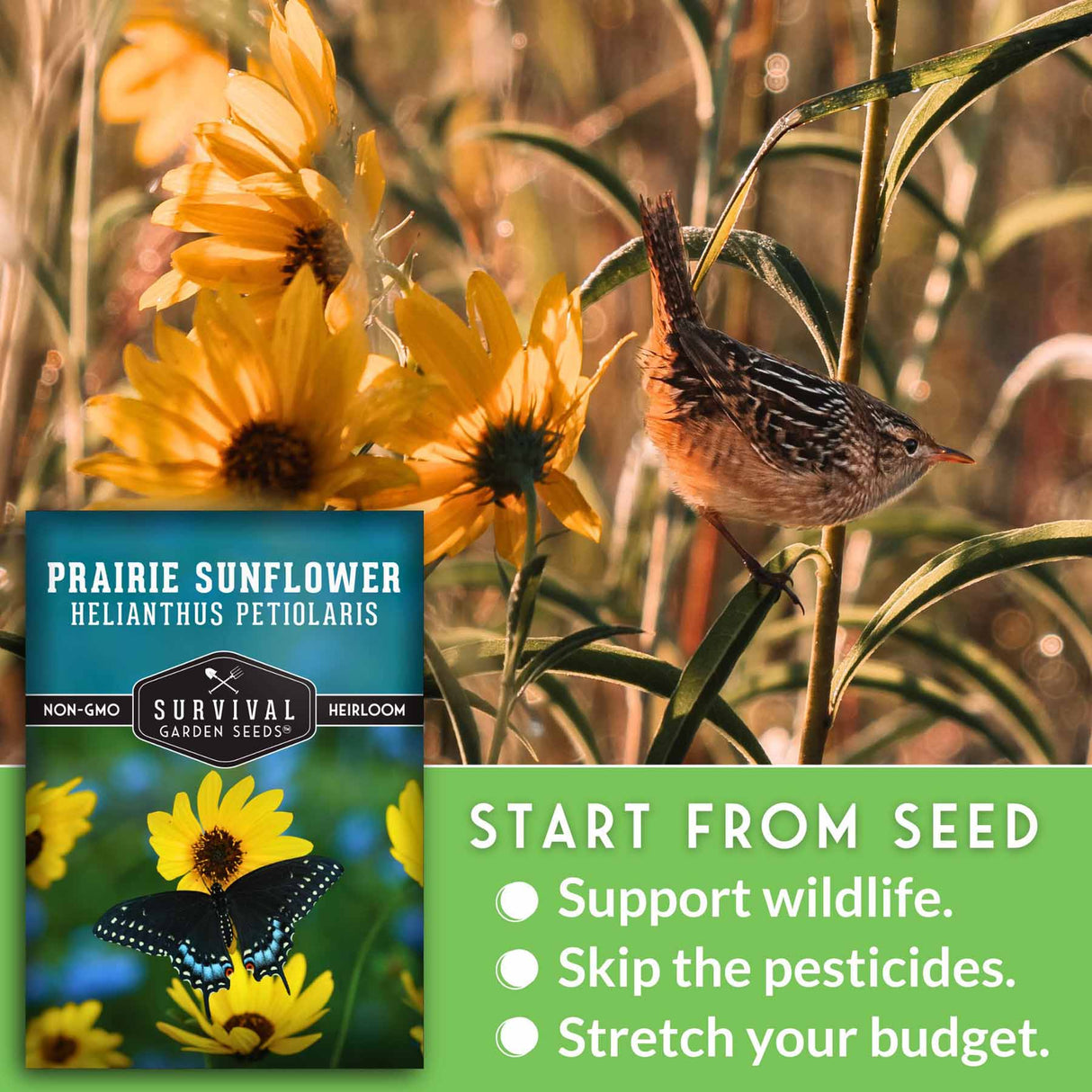 Prairie sunflower seed packet with a bird on a stem and sunflowers in the background