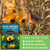 Prairie sunflower seed packet with a bird on a stem and sunflowers in the background