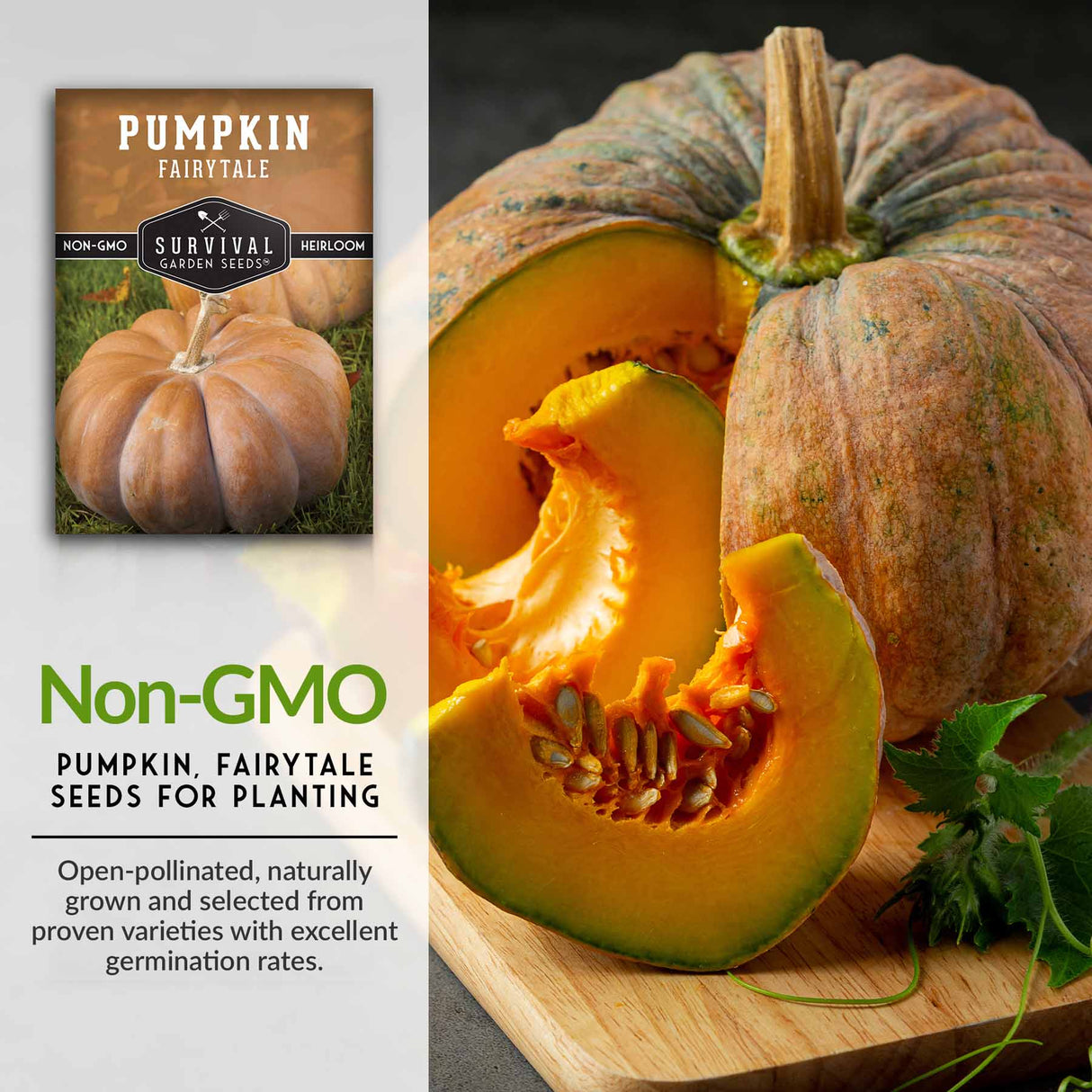 Non-GMO pumpkin seeds