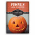 Jack O Lantern Pumpkin seeds